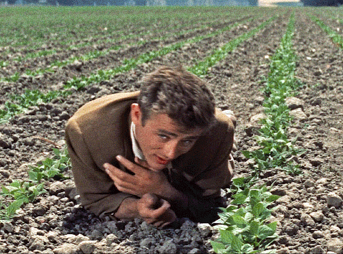 East Of Eden (1955) Dir. Elia Kazan