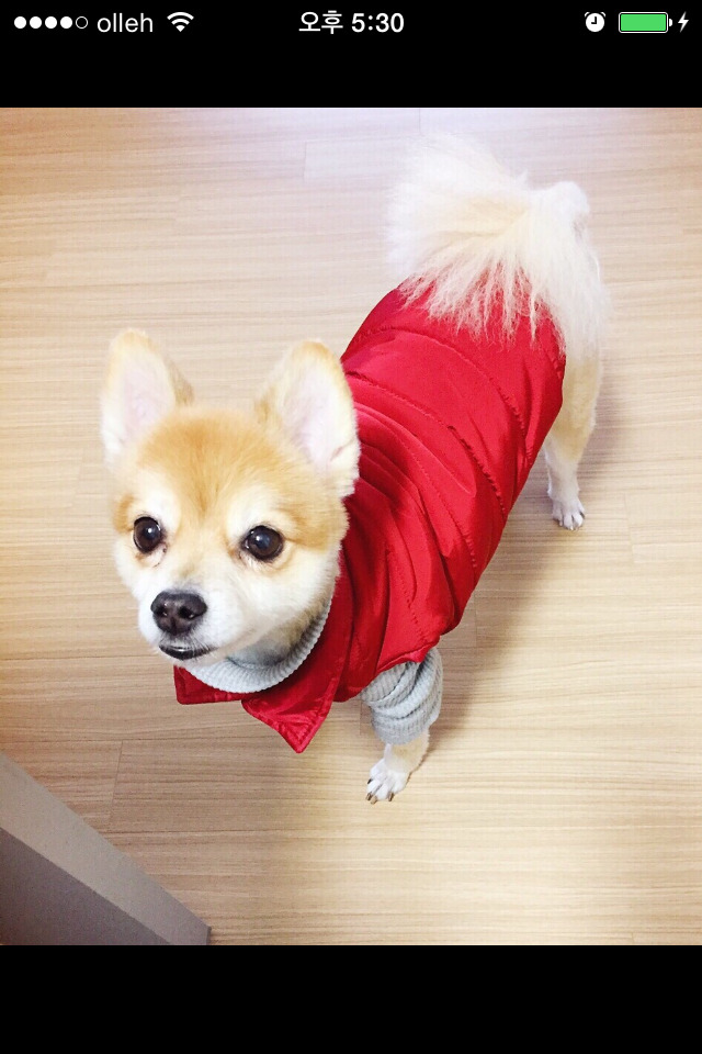ウツシエ Explore Tumblr Posts And Blogs Tumgir ウツシエ Explore Tumblr Posts And Blogs Tumgir