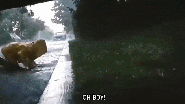 parks-and-rex: “and they never saw little   Georgie Denbrough  again..” original post 