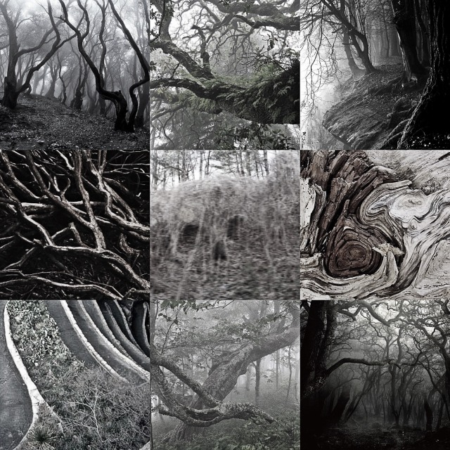Dark Souls Dragons Tumblr Gallery dark-souls-dragons-tumblr-gallery