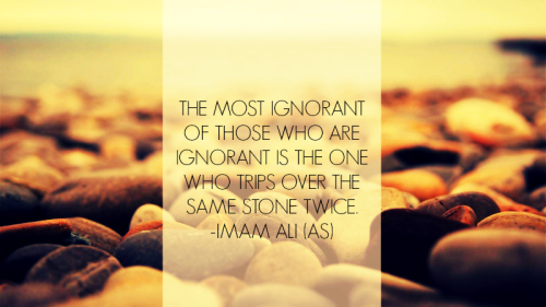 imam ali sayings