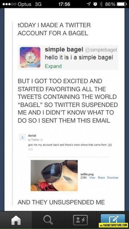 itsstuckyinmyhead:  Epic Tales By Tumblr Bloggers
