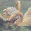 moon-swan-feathers