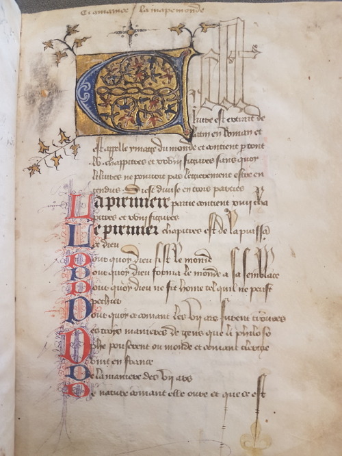 LJS 264 - Ymage du monde [Part 1]This manuscript is so beautiful that it deserves three different po