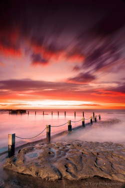 neptunesbounty:  Red Dawn by -yury- on Flickr.