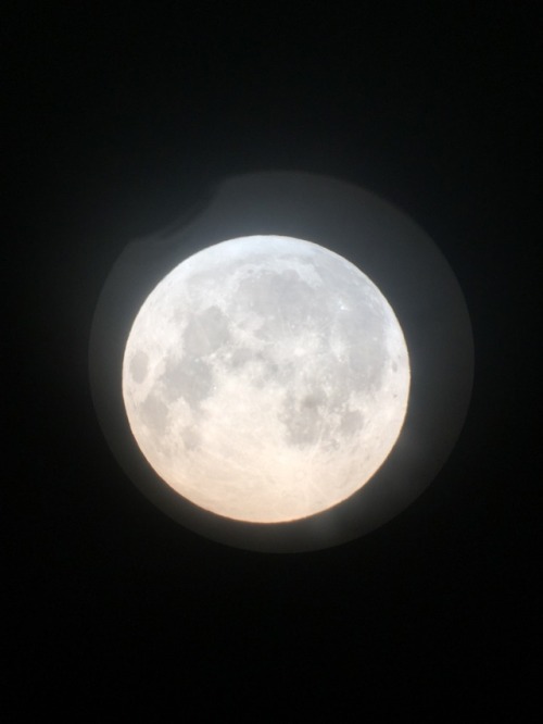 mistcreature: i saw the moon through a telescope tonight and she looked as radiant as ever ✨