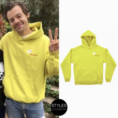 Out with a fan, Harry was pictured wearing a Pleasing hoodie from their Coachella collection. Photo 