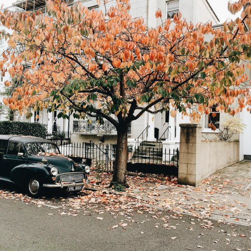 Porn Pics woman1924:  Autumn in London  