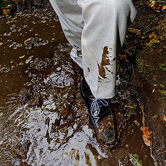 Wet Men