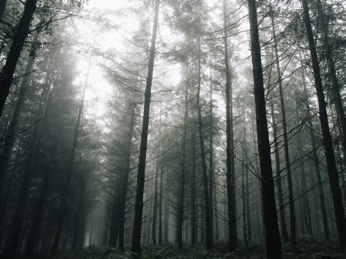 ardley:  The Quantock Hills, Somerset UK 2020 (Series overview)Photographed by Freddie Ardley | website | instagram