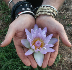bohemianco:  shinyapology:  ❀ Take a walk in my bohemian flower field ❀  For you ;) 
