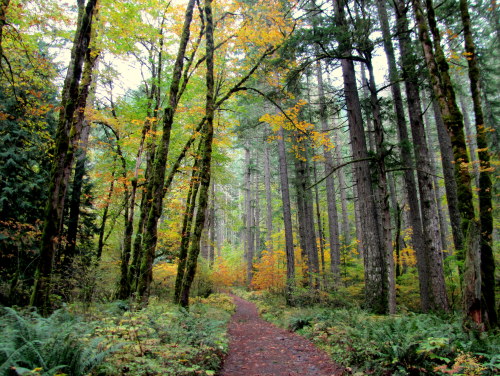 Pacific Crest Trail- Oregon October 2013 