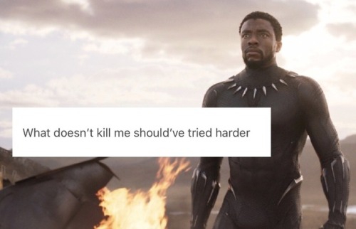 celestial-chick: Black Panther + text posts