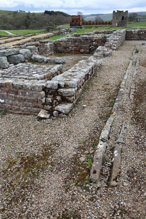 thesilicontribesman: The Severan Fort, Vindolanda Roman Fort, Northumberland, 29.4.18.These building