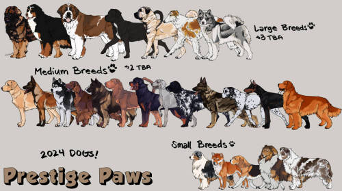 Concept Art For A Darpg/dog Sim Browser Game.