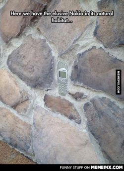 tactical-facepalm:The elusive Nokia, seen in its natural habitat.http://tactical-facepalm.tumblr.com/