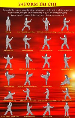 taichi-kungfu:  24 form tai chi