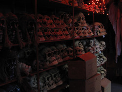 enchanting-autumn:  Skull inventory by doublelibra