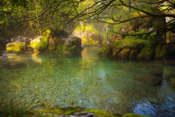 quiet-nymph:       Bluntautal, Golling, Austria  by TobiasW.  