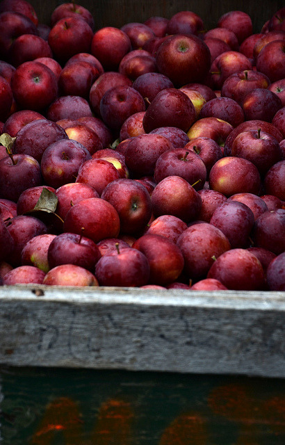 cold-air-hot-drinks:  apples on Flickr. 