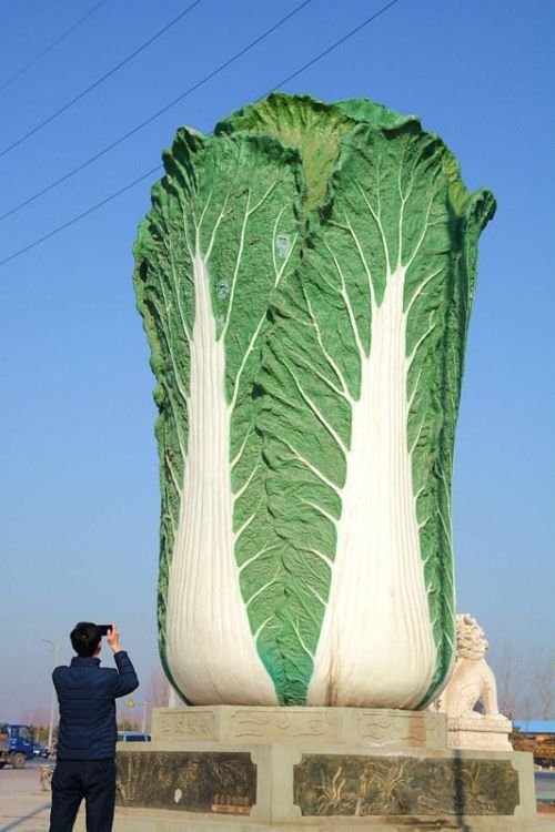 knsth: bustakay: The Big Cabbage in Liaocheng, Shandong.  there he is  