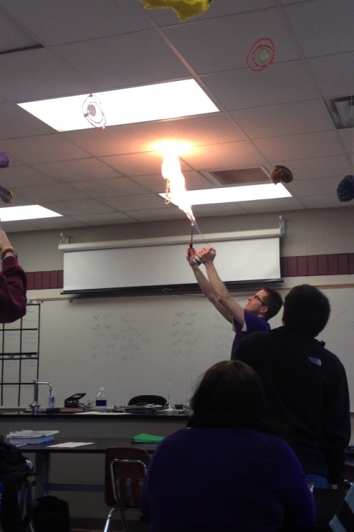 lolsofunny:   So today in class a wasp flew into our room and was sitting on the ceiling and instead of just killing it with a ruler or book or something mY TEACHER SET IT ON FIRE  (lol here!)