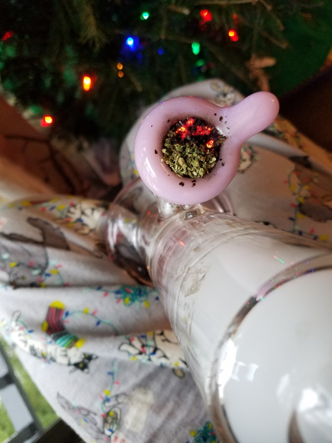 indica-illusions:Best purchase so far  These christmas cat pants 🐱🕯🎄🎁🎅