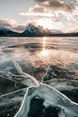 banshy:  Abraham Lake by: Stevin Tuchiwsky 