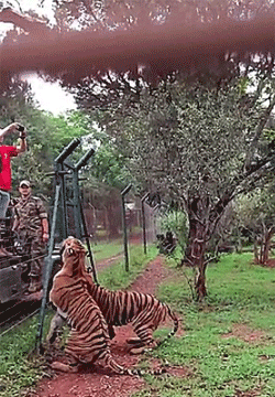 braveweights:  captainjaymerica:  nerd-fueled-weightlifter:  Who the fuck threw a