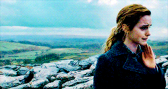 the-absolute-best-posts:   Harry Potter Challenge: Forty Scenes #12    This post has been featured on a 1000Notes.com blog!