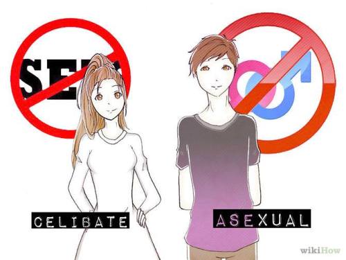sexselector:  ff-lgbt:  Via The Sociological Cinema:  Celibacy and asexuality are two very different