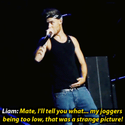 gay4zayn:    