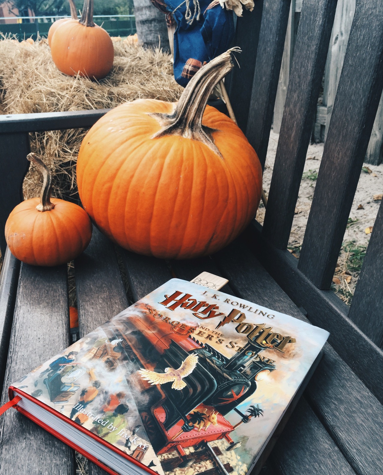 bookbaristas:    Spent some time in a pumpkin patch today and decided to take about