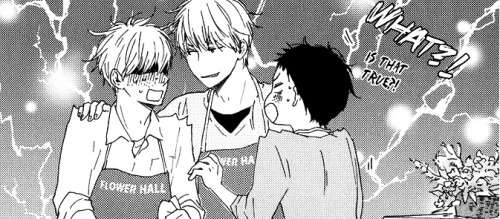 Yaoi Crave
