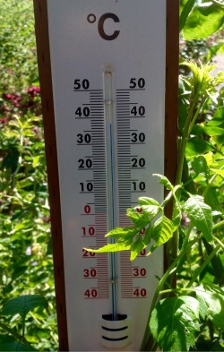 The highest summer temperatures in June,