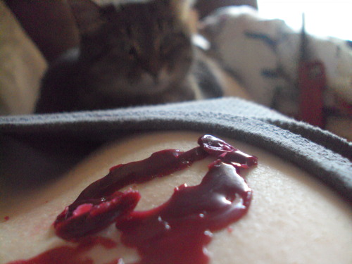 cvlikesporn: I have a weird cat.
