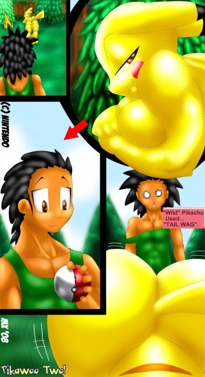 sonicandpokepornblog:  Pikawoo comic