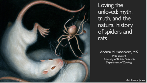 Giving a Facebook live talk today on my two loves&ndash; spiders and rats&ndash; link to fol