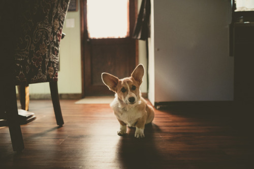girrlscout:My other babe. 