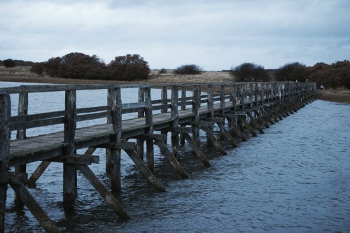 kylebonallo: Aberlady Nature Reserve, by Kyle Bonallo (@instagram)