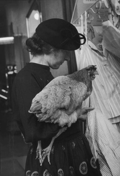 womansart:A woman carries her pet chicken as she examines fabrics in a shop in Paris, 1956. Photogra