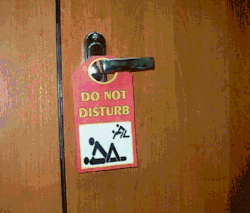 annabellehector:  Do not disturb  🚀