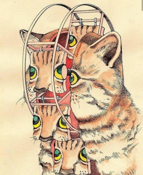 Shintarō Kago aka Shintaro Kago aka 駕籠 真太郎 (Japanese, b. 1969, Tokyo, Japan) - Cats, Drawings: Ink, 