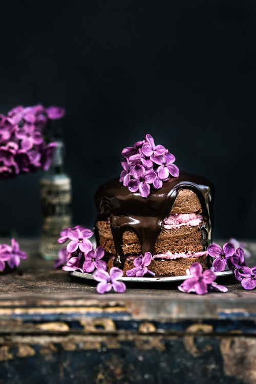 cakesonholiday:Mini Chocolate Almond Cakes with Blackberry Buttercream
