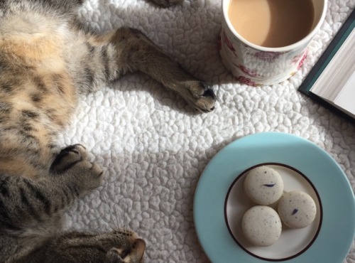 bookoflostthings:Coffee, Earl Grey macarons, a good book, and one very nosy cat