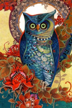  Hoot David Galchutt 