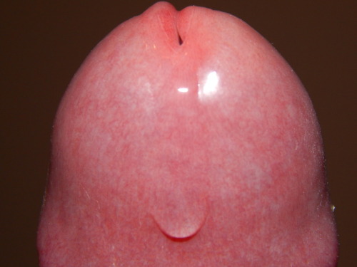 allforforeskin:  fischkopp1979 or @fischkopp79 | Germany | 36 years oldHi! I had a boring sunday, so i made some New photos. Submissions are accepted on the sidebar where it says [Share Your Foreskin] or at [allforforeskin at gmail dot com]. And please