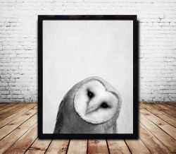 artprintsoflimppimps:  Owl Art Owl Print Bird Print Bird Art