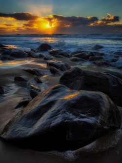 vicariousplacebo:  Sea Jewels by Emmo 