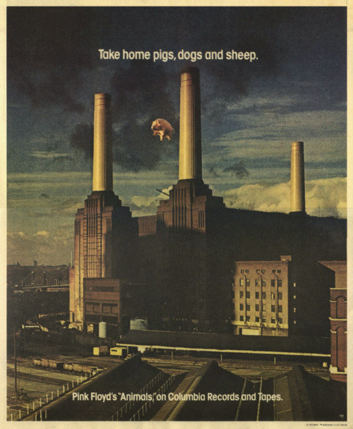 fezgod:  Original 1977 ‘Animals’ by Pink Floyd advertisement. 